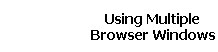 Using Multiple 
 Browser Windows